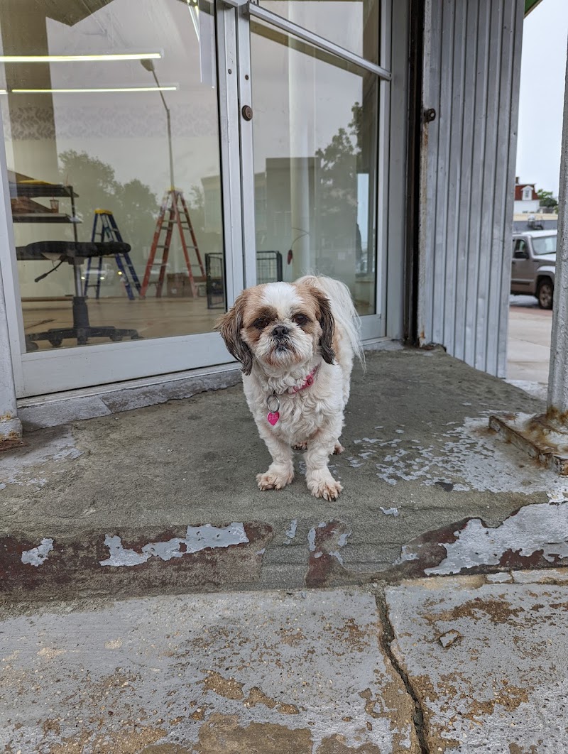 Exotics & Aquatics - Photo 2