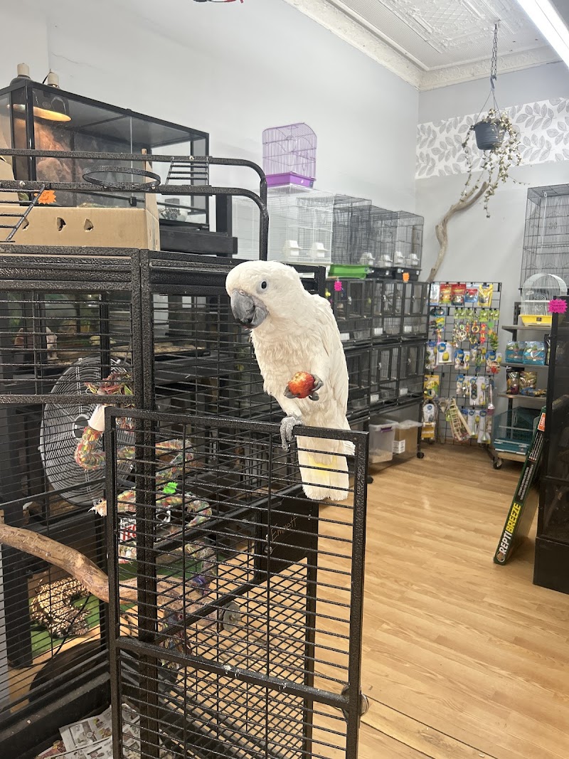 Exotics & Aquatics - Photo 3