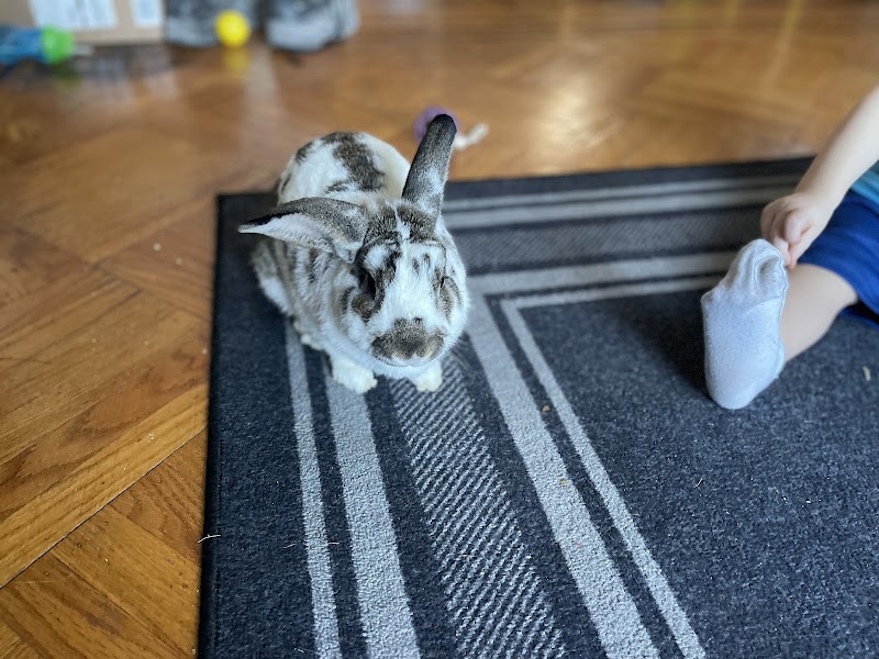 Exotics & Aquatics - Photo 4