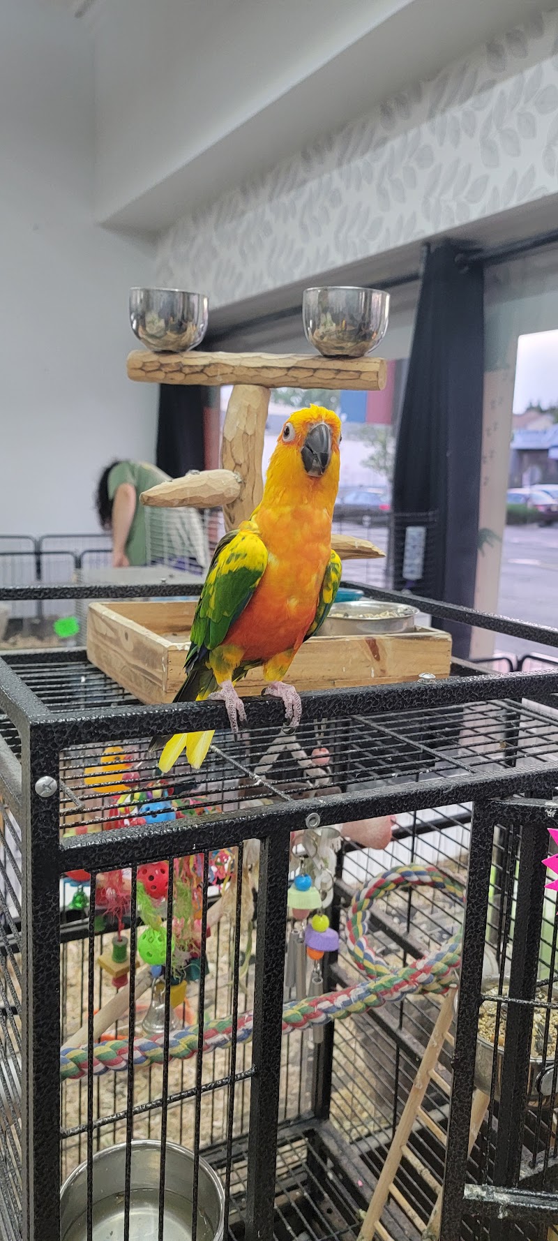 Exotics & Aquatics - Photo 5