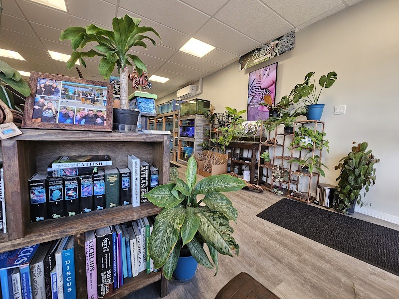 PicKFish Pets - Photo 2