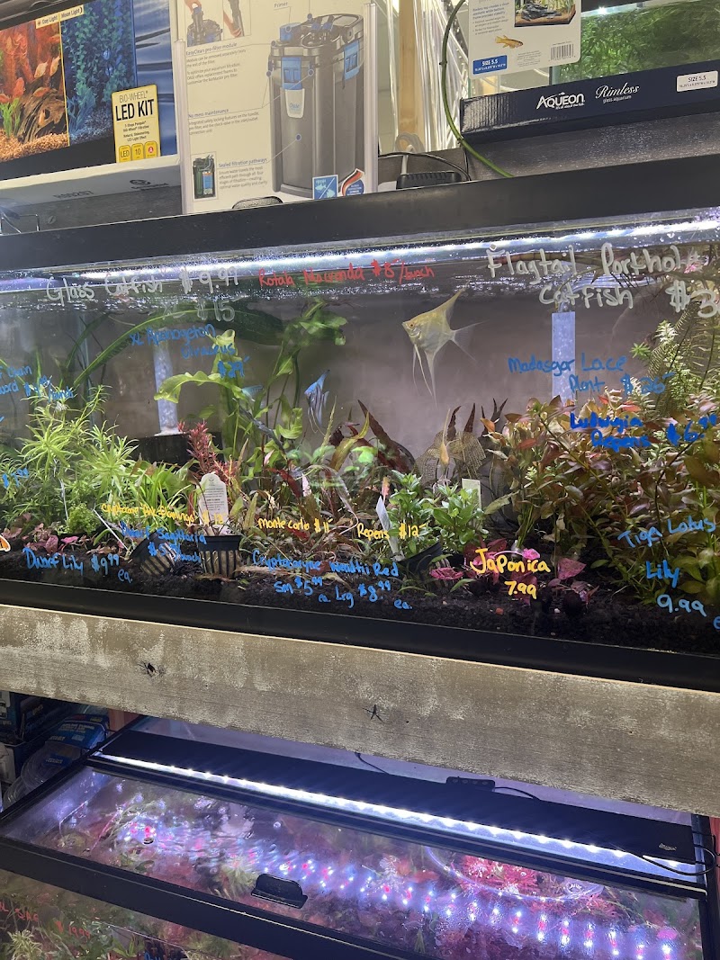 PicKFish Pets - Photo 4