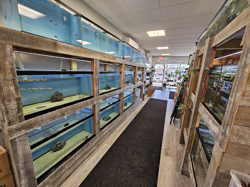 PicKFish Pets - Photo 5