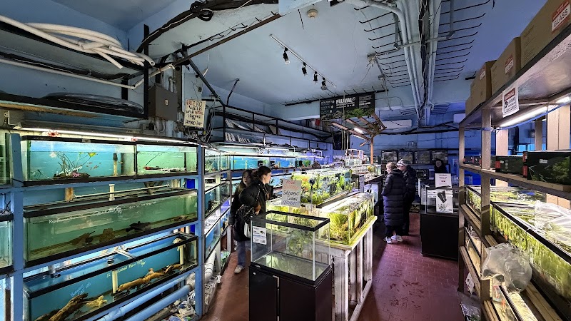 Pacific Aquarium & Plant - Photo 3