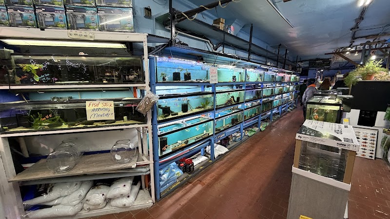 Pacific Aquarium & Plant - Photo 4