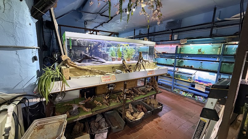 Pacific Aquarium & Plant - Photo 5