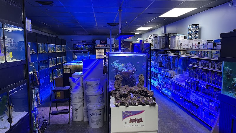 Aquatic Obsessions - Photo 2