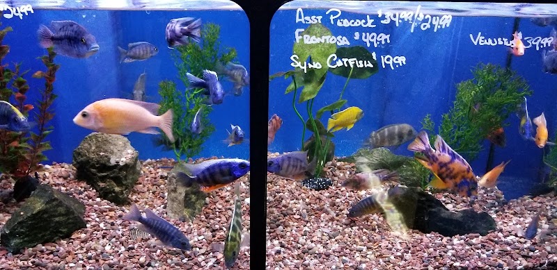 Aquatic Obsessions - Photo 4