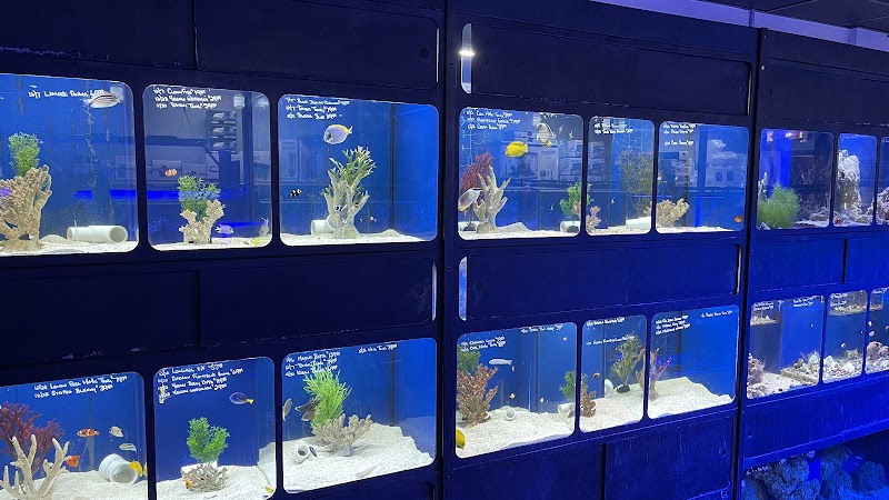 Aquatic Obsessions - Photo 5