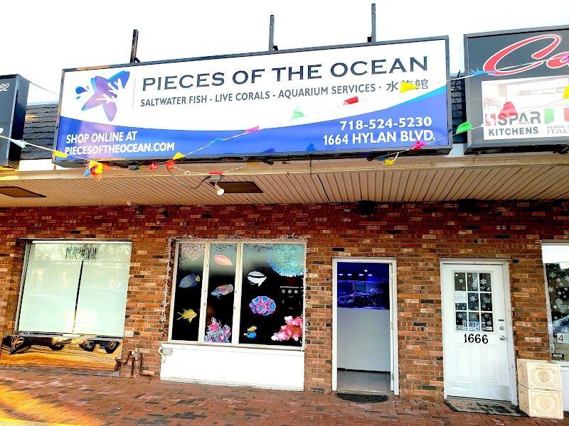 Pieces of the Ocean - Photo 1