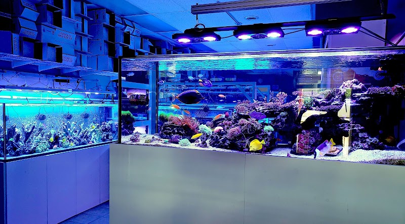 Pieces of the Ocean - Photo 2