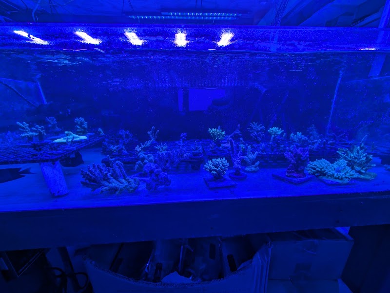 Pieces of the Ocean - Photo 5