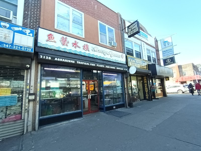 Amazing Aquarium - Photo 1