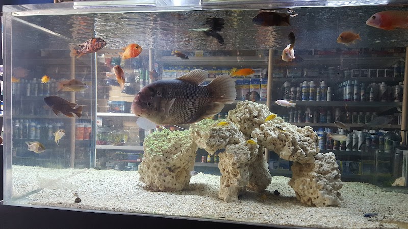 Aquarium Paradise - Photo 3