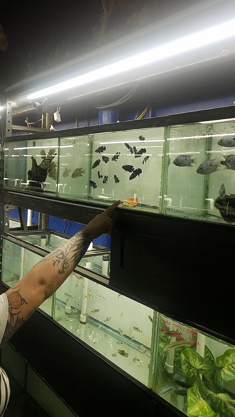 Aquarium Paradise - Photo 4