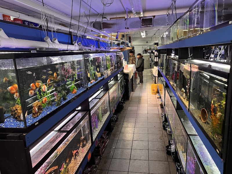 The Fish Hut of New Jersey - Photo 2