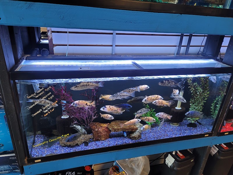 The Fish Hut of New Jersey - Photo 3