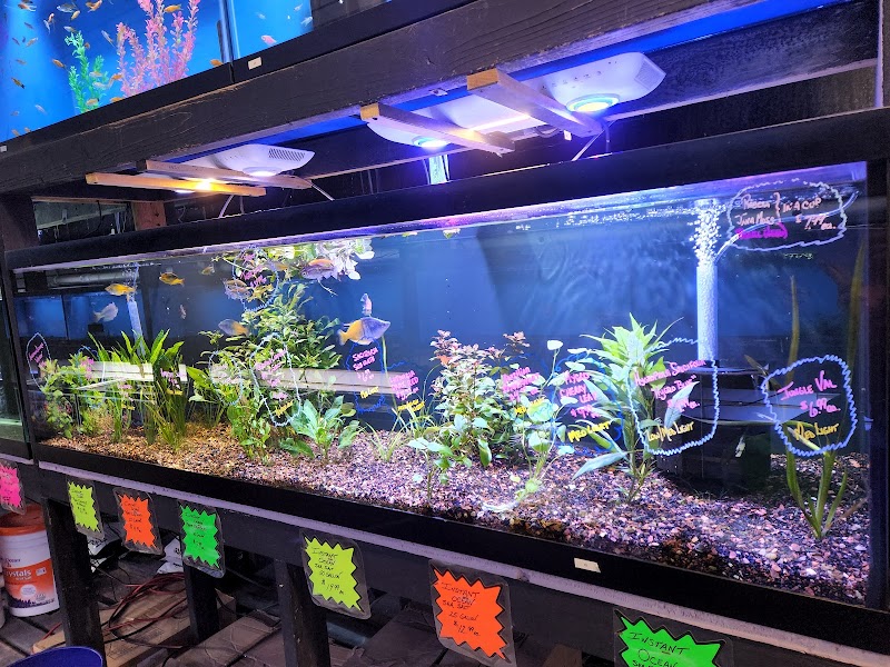 The Fish Hut of New Jersey - Photo 5