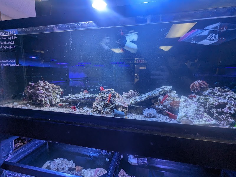 Sea Level Aquarium - Photo 2