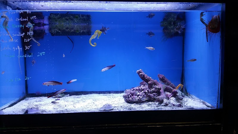 Sea Level Aquarium - Photo 5