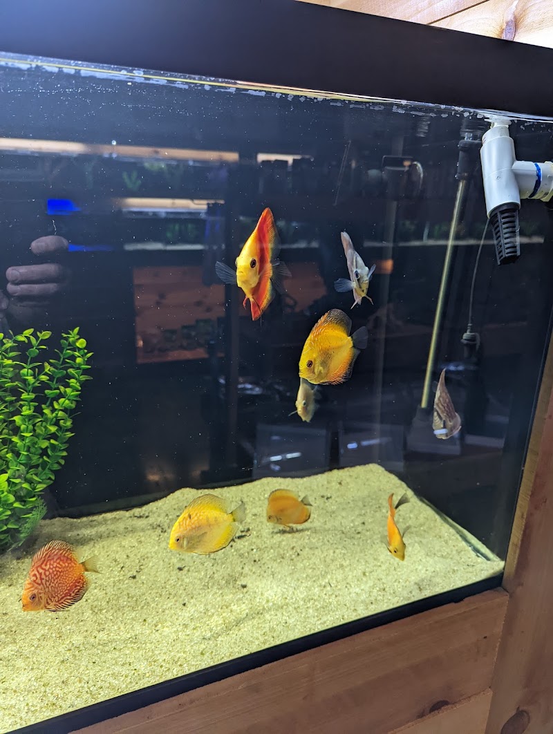 Kona Reef Az - Surprise - Photo 3