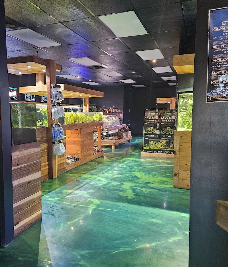 Kona Reef Az - Surprise - Photo 4