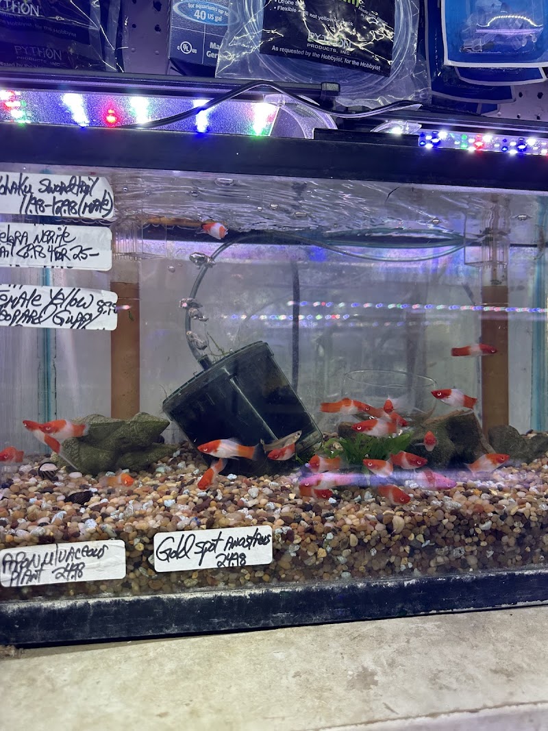 Ely's Tropical Fish - Photo 1