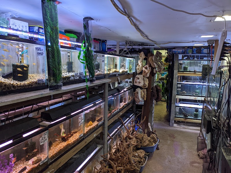 Ely's Tropical Fish - Photo 2