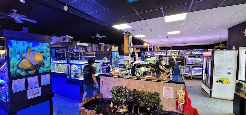 Absolutely Fish - Photo 2