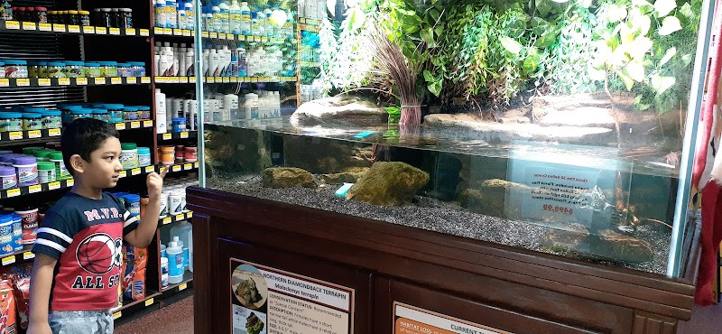 Absolutely Fish - Photo 3