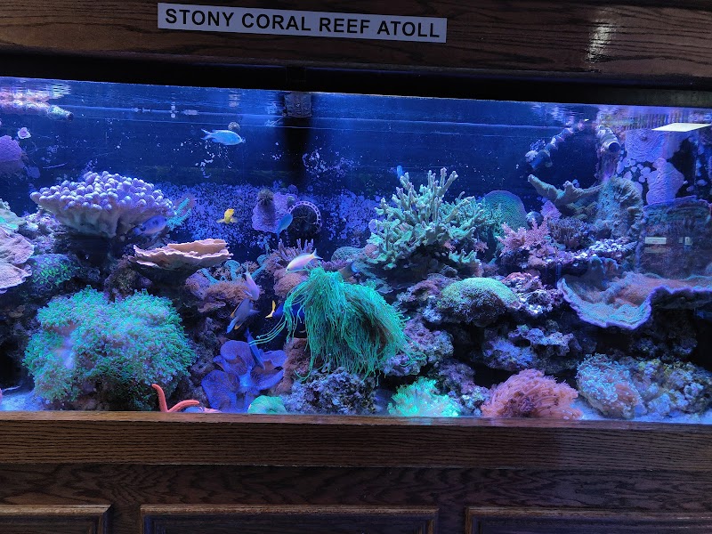 Absolutely Fish - Photo 5