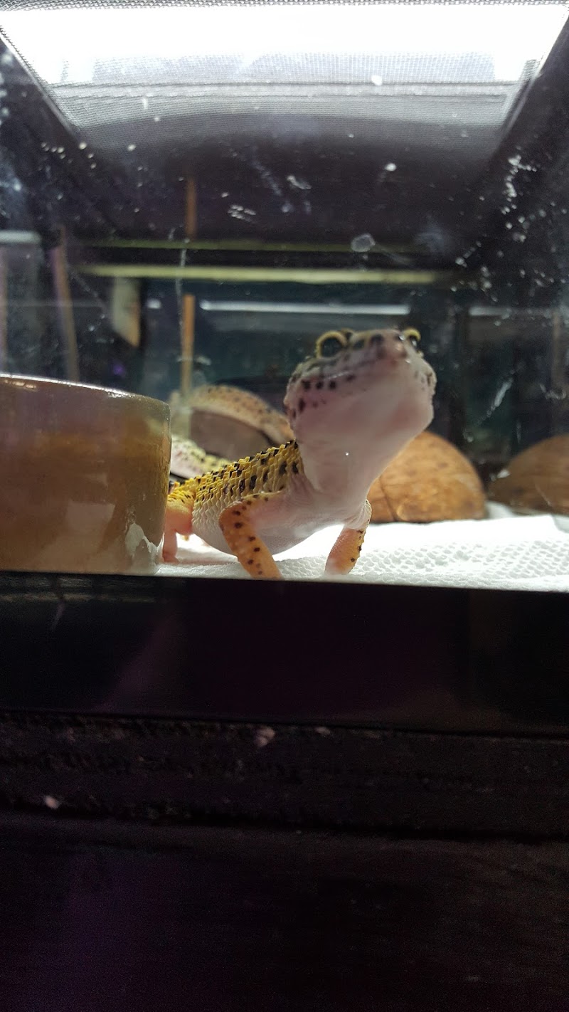 Aquariums By JJ - Photo 4