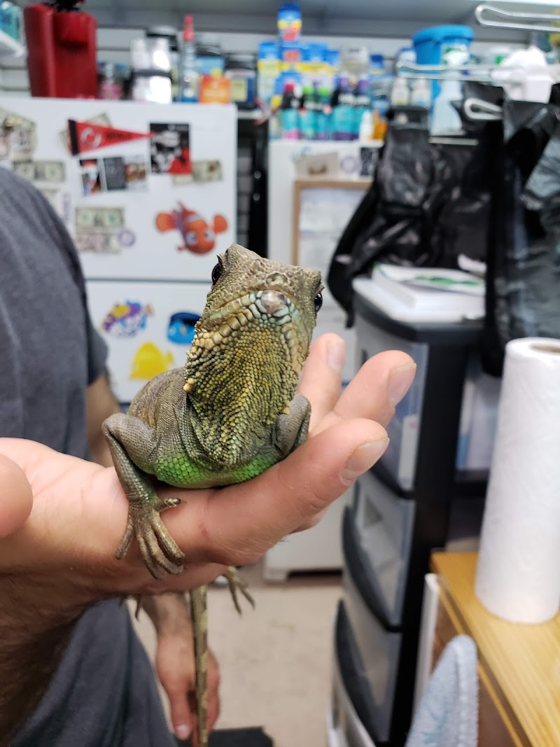 Aquariums By JJ - Photo 5