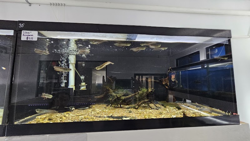 Global Fish Co. - Photo 1