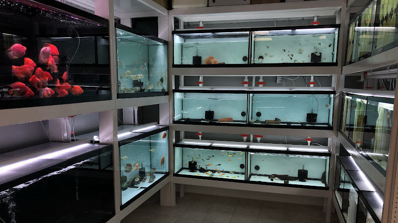 Global Fish Co. - Photo 2