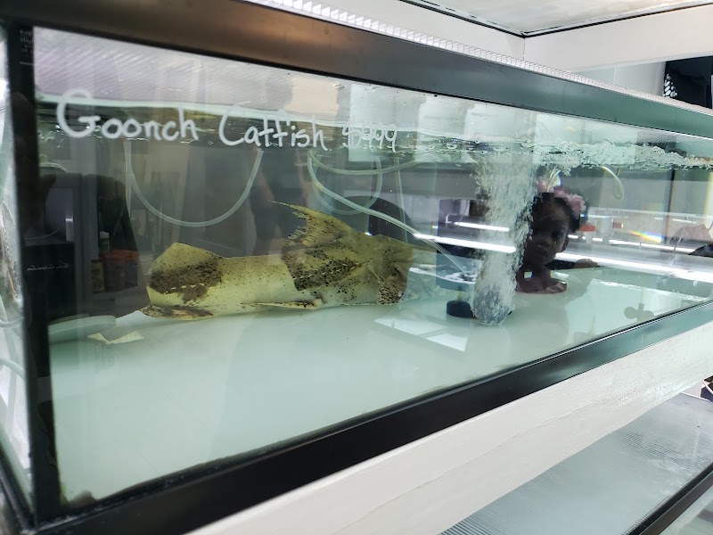 Global Fish Co. - Photo 4