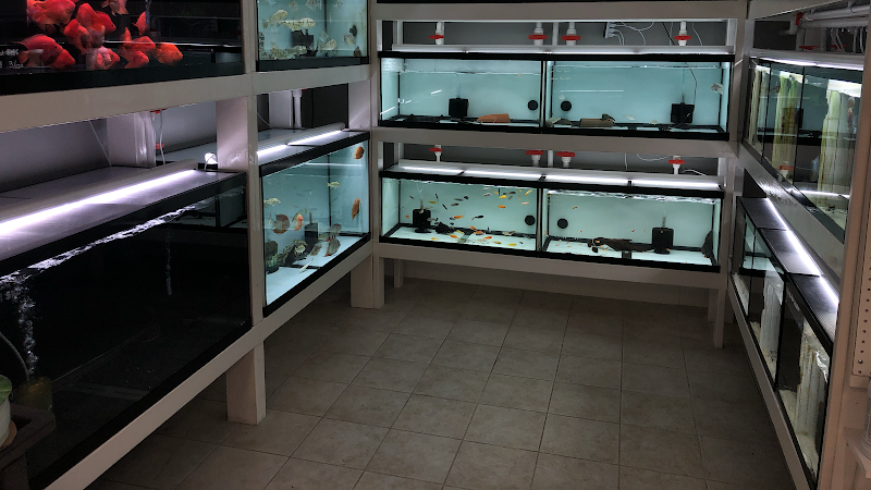 Global Fish Co. - Photo 5