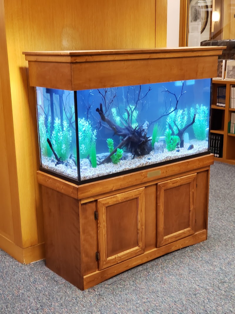 Exotic Aquatics - Photo 3