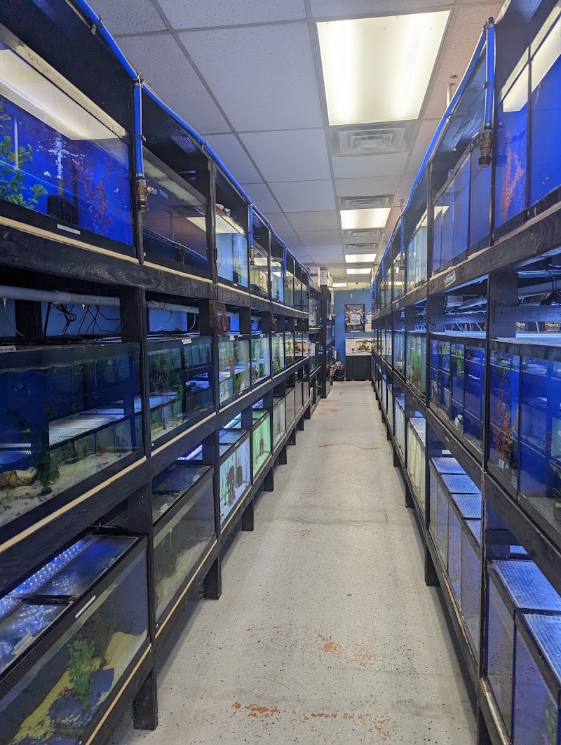 Exotic Aquatics - Photo 5
