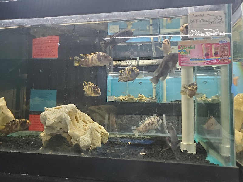 World Wide Aquarium & Pets - Photo 2