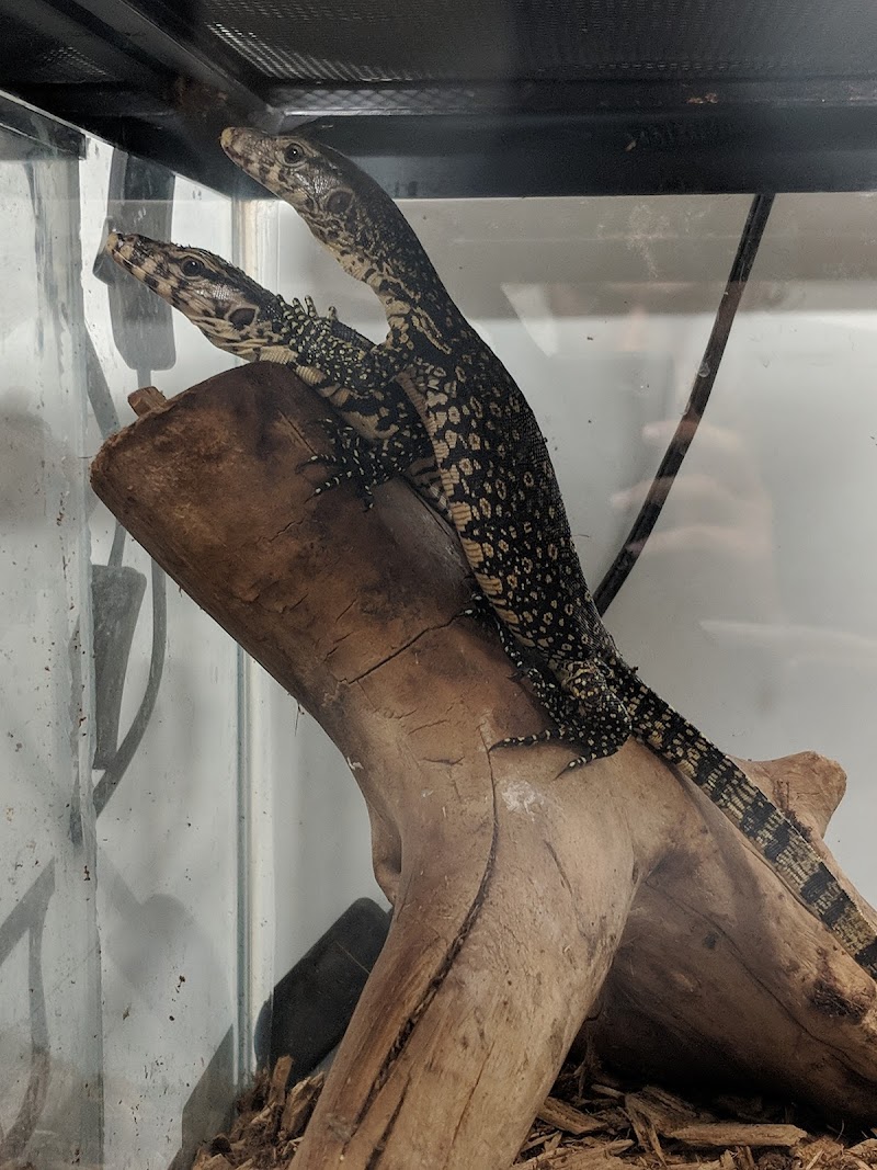 World Wide Aquarium & Pets - Photo 3