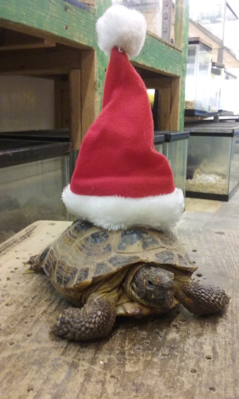 World Wide Aquarium & Pets - Photo 4