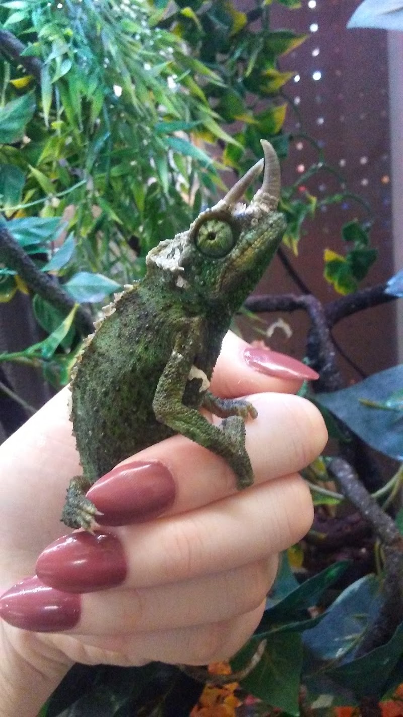 World Wide Aquarium & Pets - Photo 5