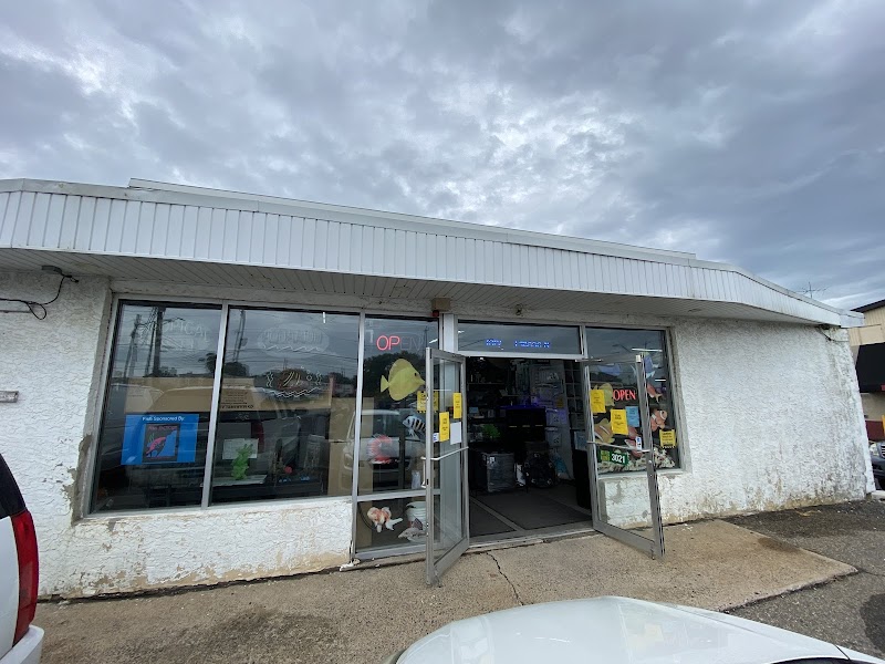 Fish Factory - Photo 1