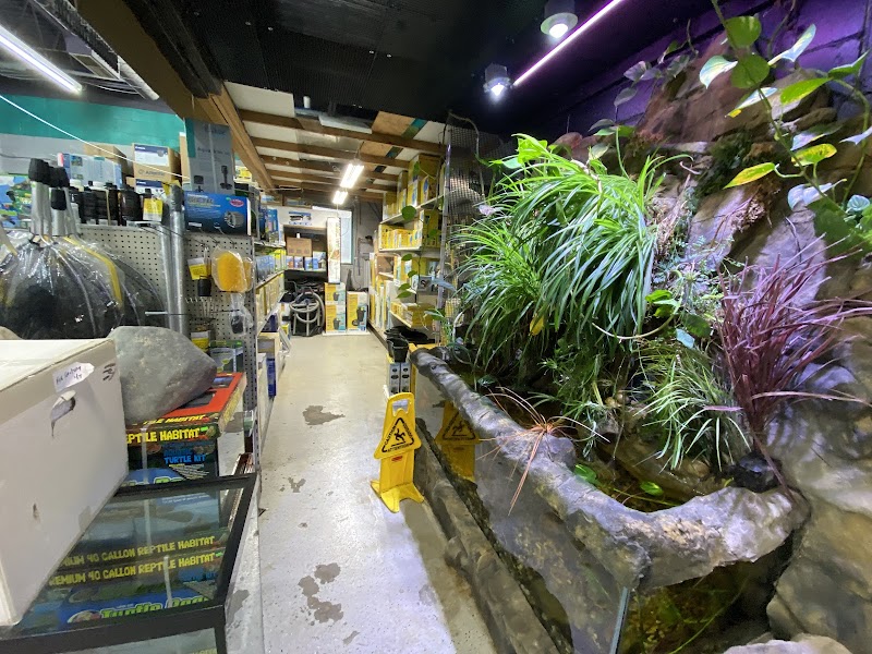 Fish Factory - Photo 2