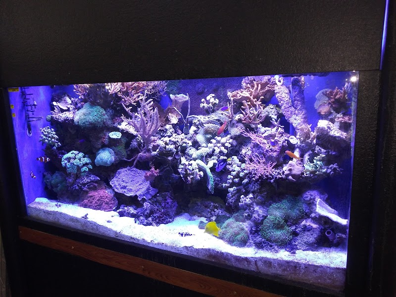 Fish Factory - Photo 3