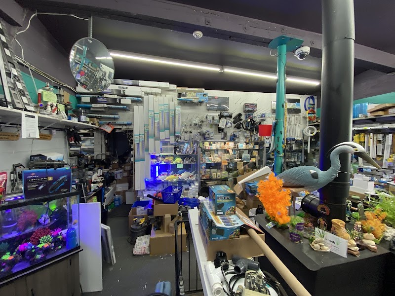 Fish Factory - Photo 5