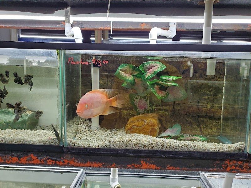 AquaScapeOnline - Photo 2