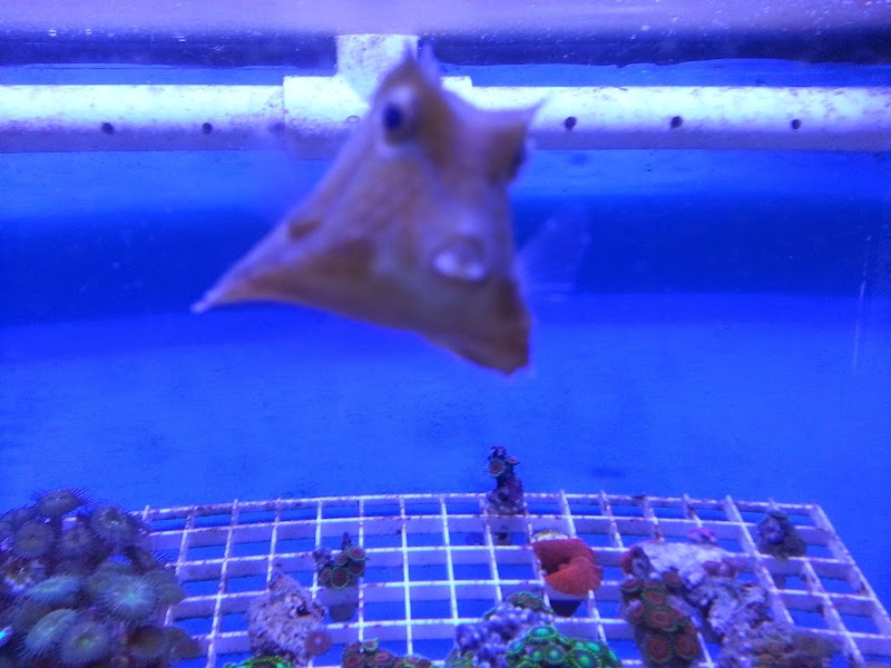 AquaScapeOnline - Photo 3