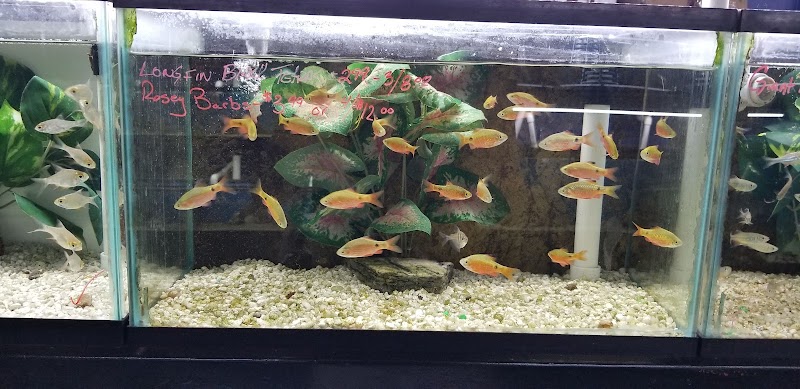 AquaScapeOnline - Photo 5